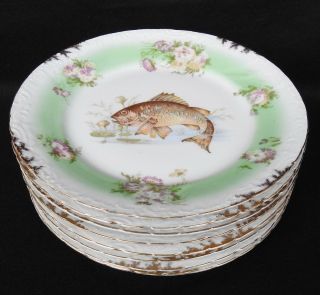 Vintage Austria Set Of 8 Fish / Game Porcelain Plates,  9 " Diameter,  Gold Accent