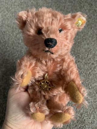 Steiff - Compass Rose Bear Curly Pink Mohair 7” Button Buy Now No Res