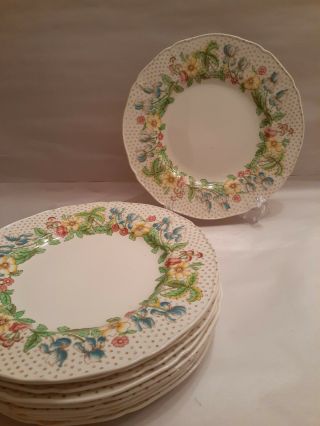Vintage Alfred Meakin Set Of 10 Salad/luncheon Plates 8 ",  Irma Pattern