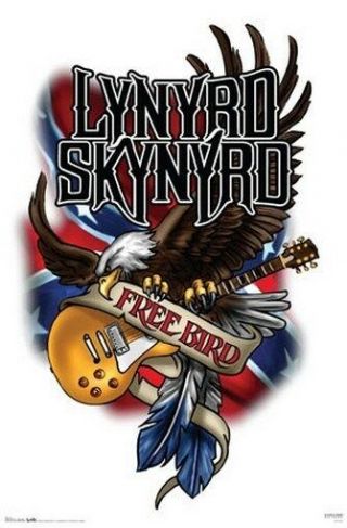 Lynyrd Skynyrd Poster - Bird - Rare Hot 24x36 - Print Image Photo - Pw0