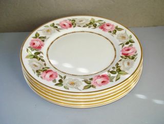 Set Of 6 Royal Worcester 10 5/8 In.  Dinner Plates Dotted Inner Ring