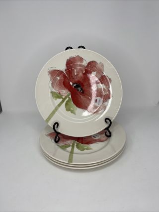 Royal Stafford Red Poppy Dinner Plates - Set Of 4 - 11 -