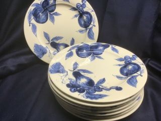 Pier 1 Melinda Set Of 8 Dinner Plates Made In Italy Fine Earthenware Pier One