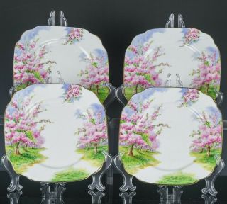 Set Of 4 Vintage Royal Albert Blossom Time Bone China 6 - 3/4 Inch Dessert Plates