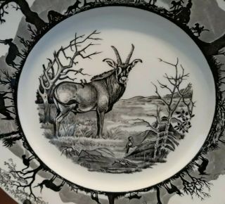 Wedgwood Kruger National Park Africa Roan Antelope Dinner Plate 10 3/4 