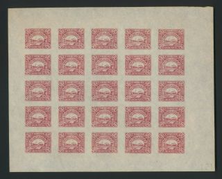 Paraguay Stamps 1886 20c Officials Proof Sheet No.  151 Patterned Reverse Signed