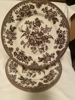 Set Of 4 Royal Stafford Asiatic Pheasant Brown Dinner Plates 11 Inches