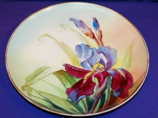 Antique Haviland Limoges France Plate Hand Painted Purple Iris Flowers Darcy 