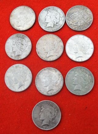 (10) Peace Silver Dollar Coins 1922 - S,  1922 - D,  1923 - S,  1924,  Xl