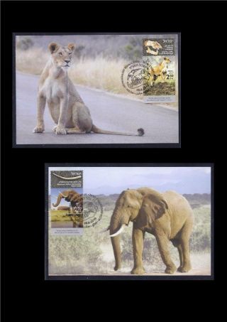 Israel 2018 Archeozoology Elephant Lioness Archaeology 2 Stamps Maximum Cards