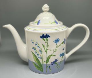Laura Ashley Cornflower Porcelain Bone China Coffee Or Tea Pot