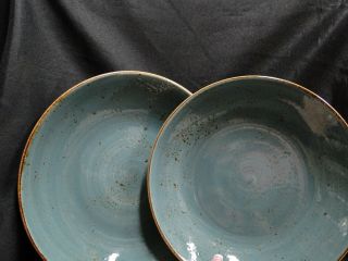 Steelite Craft,  England: Blue Coupe Bowl (s),  10 