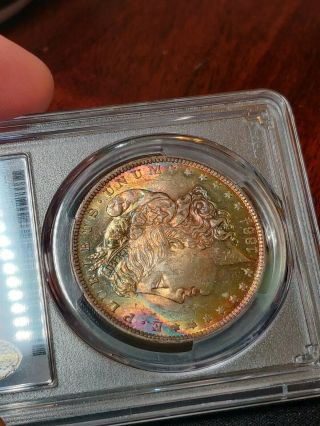 Unique Toned 1884 - O $1 Morgan ( (Silver Dollar))  PCGS MS - 63 toner Gold Shield 4
