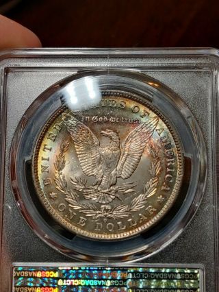 Unique Toned 1884 - O $1 Morgan ( (Silver Dollar))  PCGS MS - 63 toner Gold Shield 5