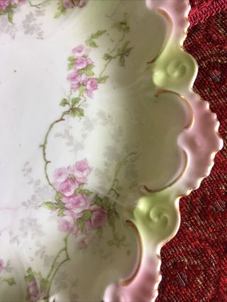 Antique Mz Austria Porcelain China Rose Flower Plate
