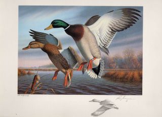Virginia 1 1988 State Duck Stamp Print Mallards Exec Ed By Ronald Louque