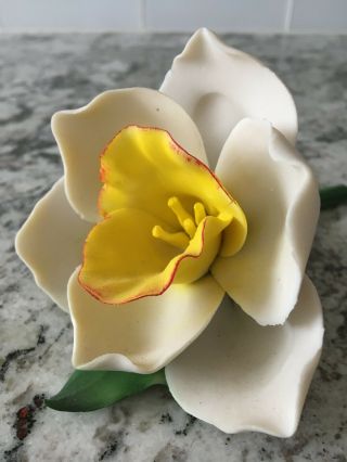 Capodimonte Fabar White Yellow Flower Made In Italy