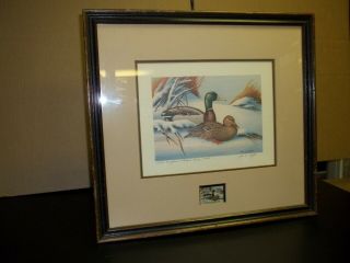 1974 First Maryland Duck Stamp Print