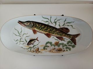 14 " Naaman Israel Oval Platter With A Muskey Fish - Great Under Water Scene