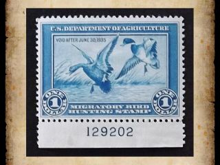 Us Federal Duck Stamp Scott Rw1 $1 1934 Migratory Bird Hunting Mh Dist Gum