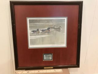 1987 Arkansas Waterfowl Hunting Stamp Signed Framed Art Robert Bateman 3896/8855