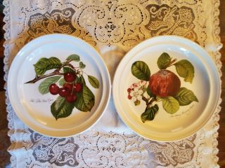 2 Pretty Portmeirion Pomona Dinner Plates Late Duke Cherry Hoary Morning Apple