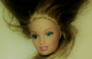 Barbie Doll Fashion Fever Drew Lara Sculpt Head For Replacement Ooak