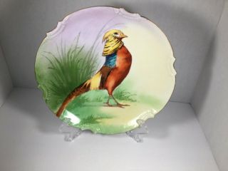 Vintage Limoges Bird Plate France Coronet.  Signed L.  Courdert.  8 1/4 "