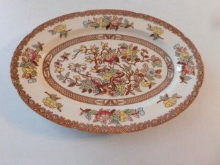 Vintage Indian Tree By Maruta Serving Meat Plate Japan 9 X 12 3/8 In No Chips