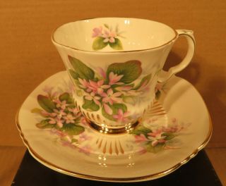 Royal Adderley Canadian Provincial Flower Mayflower Teacup & Saucer