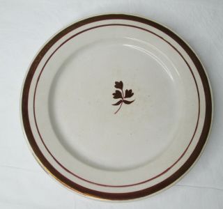 Antique Davenport Ironstone China Tea Leaf 10 " Dinner Plate Copper Luster