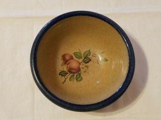 Studio Handcrafted Pottery Monroe Salt 6 - 5/8 " Cereal Bowl - Apple Theme