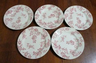 Set Of 5 Churchill Antique Rose Pink 8 " Dessert Plates Red Roses On White Euc