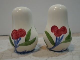 Franciscan Orchard Glade Salt & Pepper Shakers Johnson Brothers England