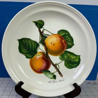 Portmeirion Pomona Roman Apricot 10 - 1/2 " Dinner Plate U5s31