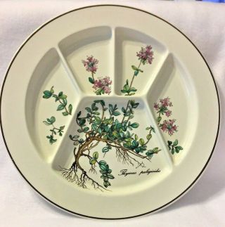 Villeroy & Boch Botanica Thymus 9 " Section Fondue Porcelain Plate Luxembourg