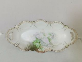 Rs Prussia Porcelain Floral Bowl/tray,  Relish/celery,  Oval Shape - Vintage Fine