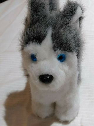 American Girl Dog Siberian Husky Plush Blue Eyes 7 " Soft Toy Great Cond Pre - Own