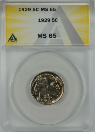 1929 5c Indian Head Buffalo Nickel Coin Anacs Ms65
