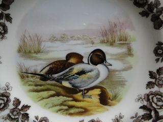 Spode Woodland Pintail Game Bird,  England: Salad Plate (s),  7 3/4 