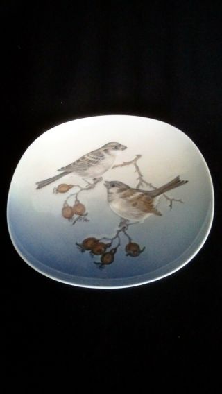 Royal Copenhagen Denmark Porcelain Small Bird Plate 5 1/2 "
