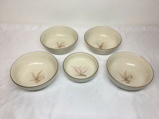 Set Of 5 Winfield Usa Pink Passion Flower & Dragon Coupe Bowls True Porcelain