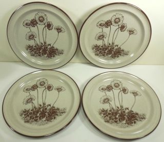 Set Of 4 Noritake Stoneware Desert Flowers Salad Dessert Plates 8341 Daisy