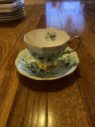 Royal Albert Bone China England White/blue Daisy Floral Tea Cup & Saucer Set