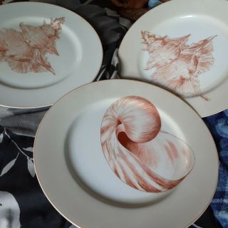 Fitz & Floyd Coquille 10 3/8 " Dinner Plates 4 Sea Shells Ocean Theme