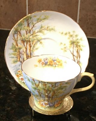 Shelley Fine Bone China Daffodil Time Tea Cup And Saucer England 13370