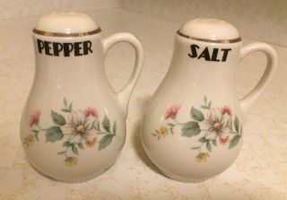 Vintage Hall Springtime Salt And Pepper Shakers,  Handled,  Range Top Shakers