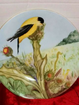 Vintage J.  P.  L.  France Hand Painted Yellow Bird On Flower 9” Good 2