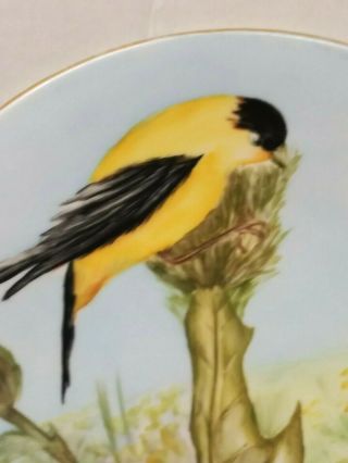Vintage J.  P.  L.  France Hand Painted Yellow Bird On Flower 9” Good 3