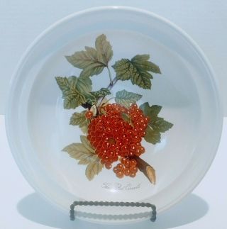Vintage Portmeirion Pomona The Red Currant Rimmed Bowl 8.  75 " Cond
